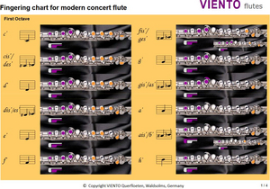 Fingering charts for flute